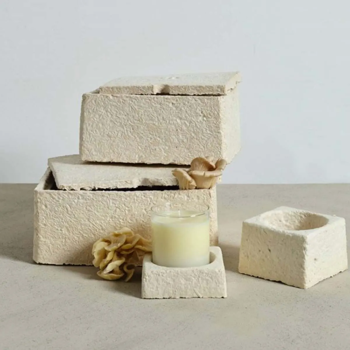 Mycelium Packaging printed for a UK food business
